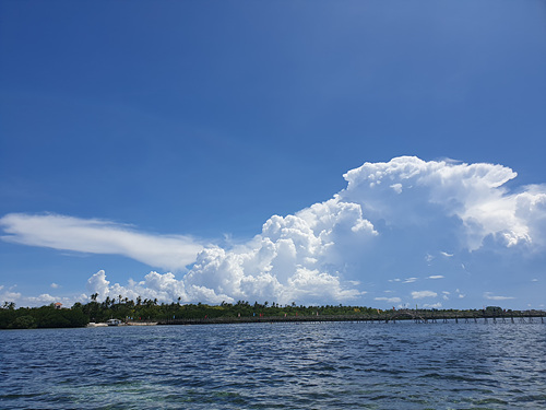 960f3d947ea250ad52bf5172d18b0569_1588904193_9215.jpg