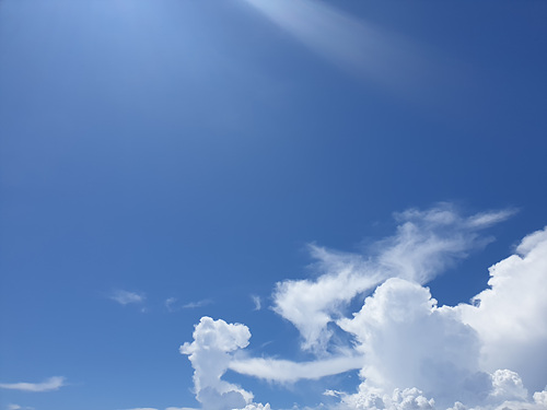 960f3d947ea250ad52bf5172d18b0569_1588904193_9728.jpg